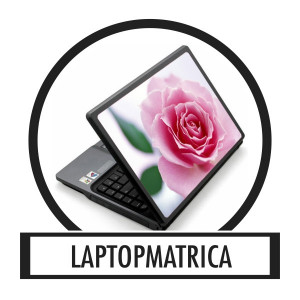 Laptop sticker, Notebook sticker