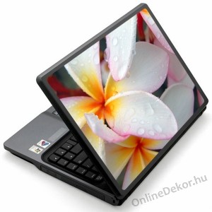 Laptop matrica, Laptop dekor&aacute;ci&oacute; - Vir&aacute;g - Plumeria, Frangipani 1155