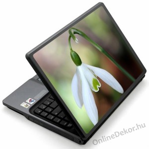 Laptop matrica, Laptop dekor&aacute;ci&oacute; - Vir&aacute;g - H&oacute;vir&aacute;g 1160