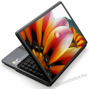 Laptop matrica, Laptop dekor&aacute;ci&oacute; - Vir&aacute;g - Z&aacute;porvir&aacute;g 1166