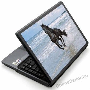 Laptop matrica, Laptop dekor&aacute;ci&oacute; - &Aacute;llat - L&oacute; 1212