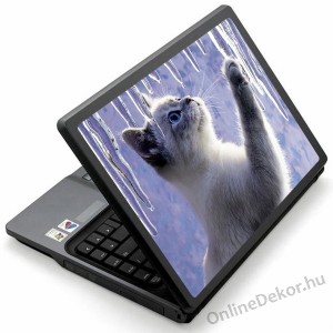 Laptop matrica, Laptop dekor&aacute;ci&oacute; - &Aacute;llat - Macska, cica 1215