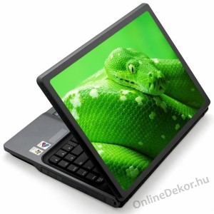 Laptop matrica, Laptop dekor&aacute;ci&oacute; - &Aacute;llat - K&iacute;gy&oacute; 1218