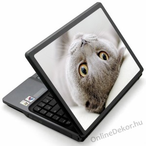 Laptop matrica, Laptop dekor&aacute;ci&oacute; - &Aacute;llat - Macska 1220