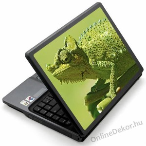 Laptop matrica, Laptop dekor&aacute;ci&oacute; - &Aacute;llat - Kam&eacute;leon 1224