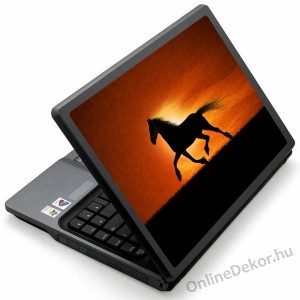 Laptop matrica, Laptop dekor&aacute;ci&oacute; - &Aacute;llat - L&oacute; 1226