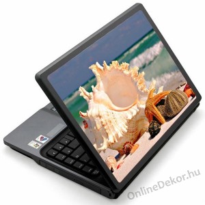 Laptop matrica, Laptop dekor&aacute;ci&oacute; - Term&eacute;szet - Tengeri csillag, kagyl&oacute; 1285