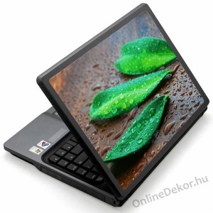 Laptop matrica, Laptop dekor&aacute;ci&oacute; - Term&eacute;szet - Lev&eacute;l 1287