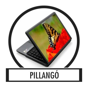 Laptop matrica, Laptop dekor&aacute;ci&oacute; - Pillang&oacute;
