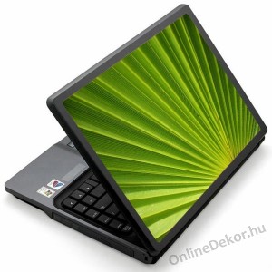 Laptop matrica, Laptop dekor&aacute;ci&oacute; - Term&eacute;szet - Palma lev&eacute;l 1291