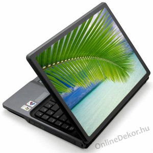 Laptop matrica, Laptop dekor&aacute;ci&oacute; - Term&eacute;szet - P&aacute;lma lev&eacute;l 1293