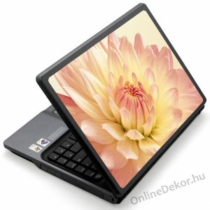 Laptop matrica, Laptop dekor&aacute;ci&oacute; - Vir&aacute;g - Őszir&oacute;zsa 1358