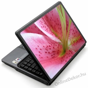 Laptop matrica, Laptop dekor&aacute;ci&oacute; - Vir&aacute;g - Liliom 1360