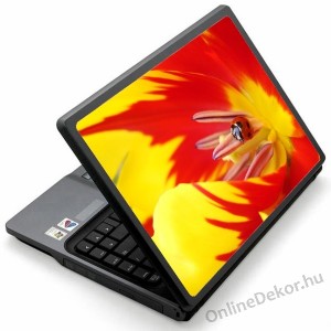 Laptop matrica, Laptop dekor&aacute;ci&oacute; - Vir&aacute;g - Vir&aacute;g katic&aacute;val 1368