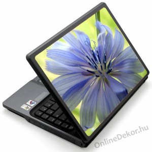 Laptop matrica, Laptop dekor&aacute;ci&oacute; - Vir&aacute;g - Vir&aacute;g 1369