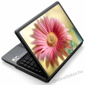 Laptop matrica, Laptop dekor&aacute;ci&oacute; - Vir&aacute;g - Vir&aacute;g 1370