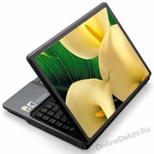 Laptop matrica, Laptop dekor&aacute;ci&oacute; - Vir&aacute;g - K&aacute;la 1372