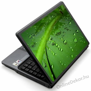Laptop matrica, Laptop dekor&aacute;ci&oacute; - Term&eacute;szet - Lev&eacute;l 1692