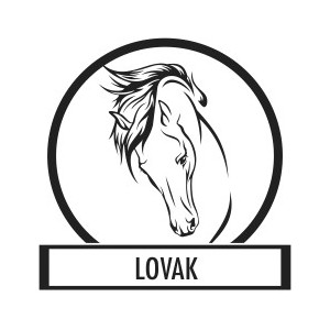 Wall sticker, Wall tattoo, Wall decoration, Wall decal - Horse