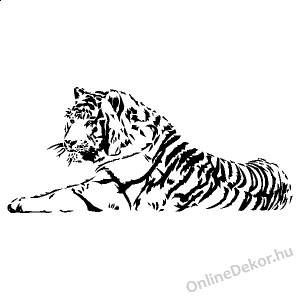 Wall sticker, Wall tattoo, Wall decoration, Wall decal - Animal - Tiger 2123
