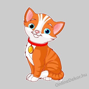 Wall sticker, Wall tattoo, Wall decoration, Wall decal - Children's room - 04.Printed wall sticker (No colour) - Cat 2138
