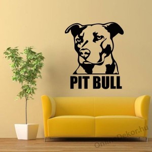Faldekor&aacute;ci&oacute;, Falimatrica, Faltetov&aacute;l&aacute;s - Kuty&aacute;k - Pit Bull 2192