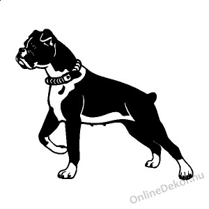 Wall sticker, Wall tattoo, Wall decoration, Wall decal - Kutyák - Boxer 2195