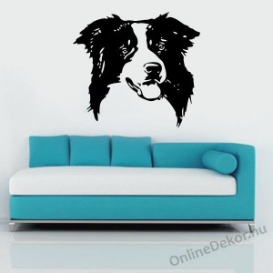 Faldekor&aacute;ci&oacute;, Falimatrica, Faltetov&aacute;l&aacute;s - Kuty&aacute;k - Border collie 2228