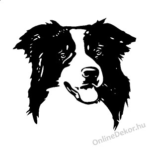 Wall sticker, Wall tattoo, Wall decoration, Wall decal - Kutyák - Border collie 2208