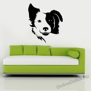 Faldekor&aacute;ci&oacute;, Falimatrica, Faltetov&aacute;l&aacute;s - Kuty&aacute;k - Border collie 2229