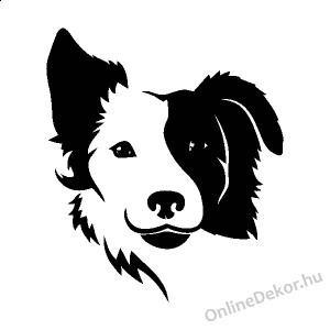 Wall sticker, Wall tattoo, Wall decoration, Wall decal - Kutyák - Border collie 2208