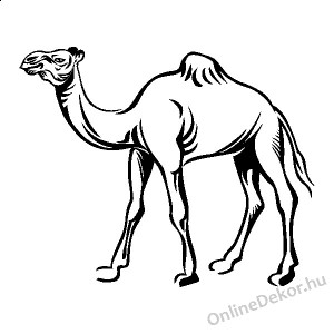 Wall sticker, Wall tattoo, Wall decoration, Wall decal - Animal - Dromedary 2323