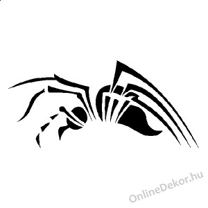 Faldekoráció, Falimatrica, Faltetoválás - Nonfiguratív, Figuratív faltetoválás - Pók 257