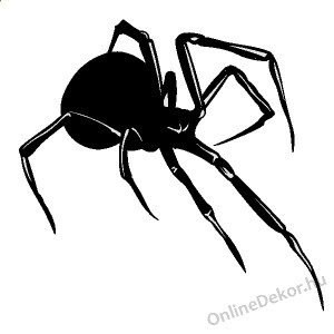 Faldekor&aacute;ci&oacute;, Falimatrica, Faltetov&aacute;l&aacute;s - Horror - P&oacute;k 306