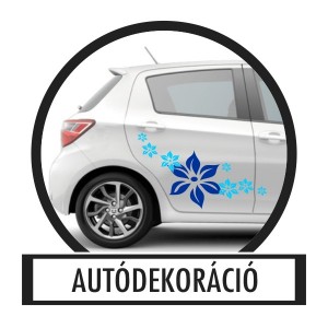 Car sticker, Car decoration, Car decal