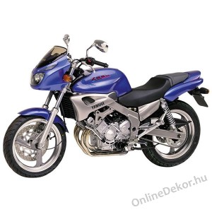 Motormatrica, Motor dekorációk - 01.Motormatricák - Yamaha - FZX 250 Zeal